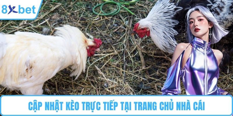 Cập nhật kèo trực tiếp tại trang chủ nhà cái