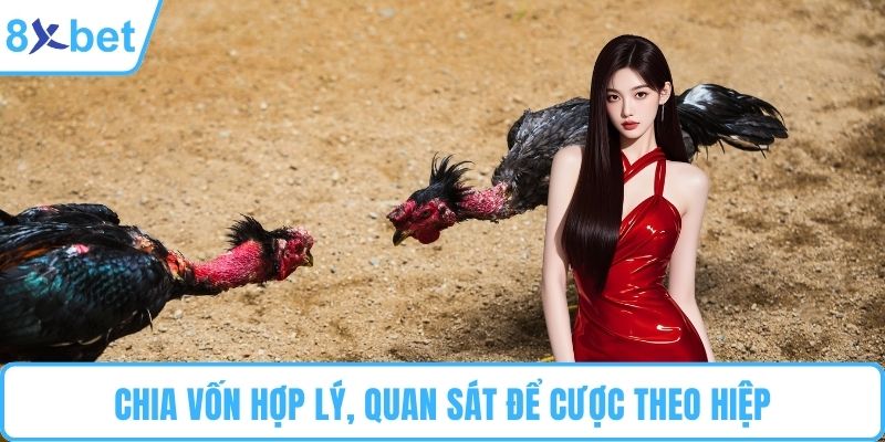Chia vốn hợp lý, quan sát để cược theo hiệp