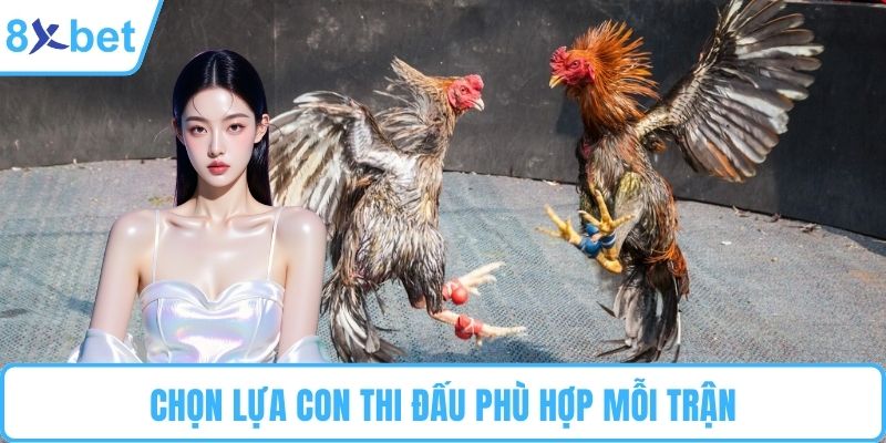 Chọn lựa con thi đấu phù hợp mỗi trận