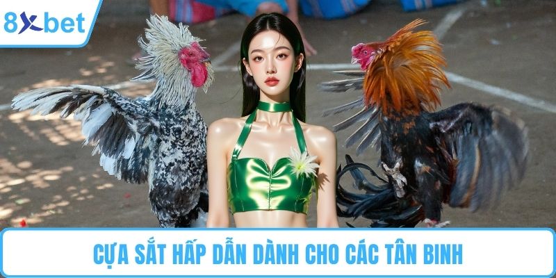 Cựa sắt hấp dẫn dành cho các tân binh