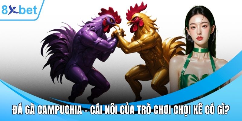 Đá gà Campuchia