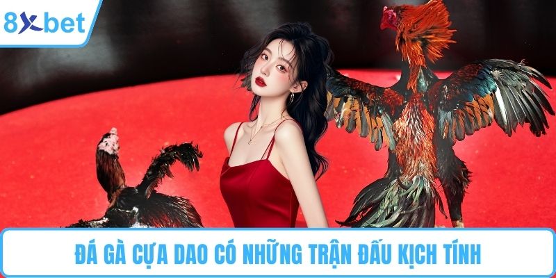 Đá gà cựa dao có những trận đấu kịch tính