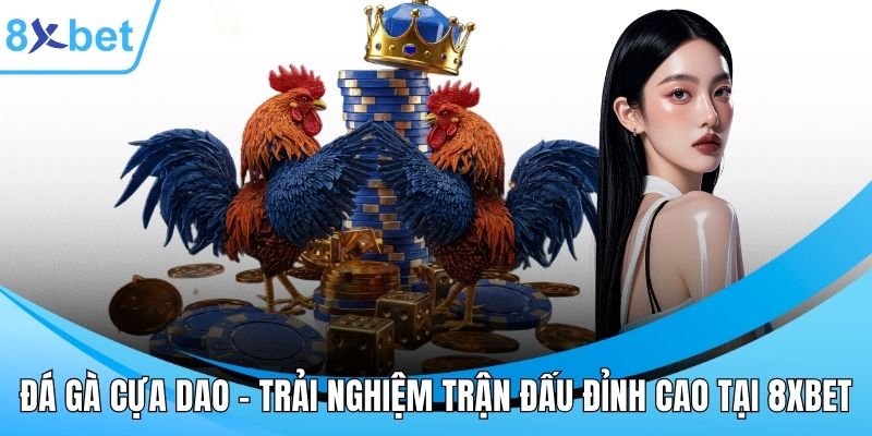 Đá gà cựa dao