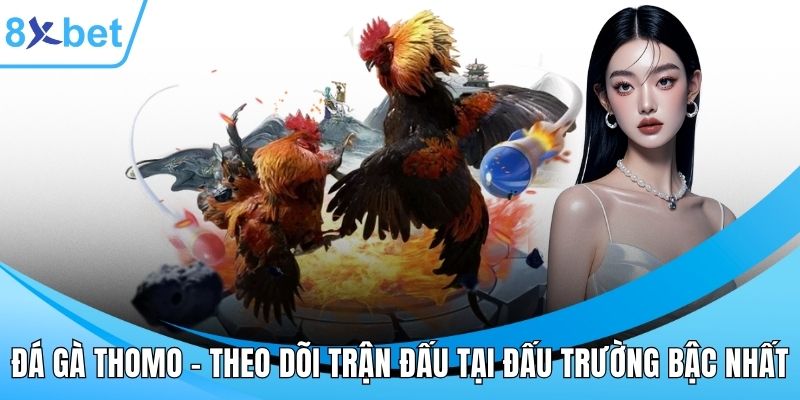 Đá gà Thomo