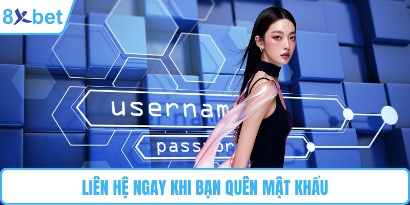 Liên hệ ngay khi bạn quên mật khẩu