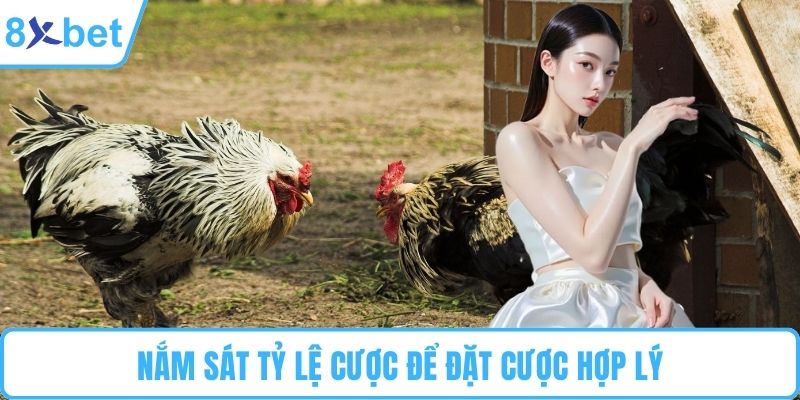 Nắm sát tỷ lệ cược để đặt cược hợp lý