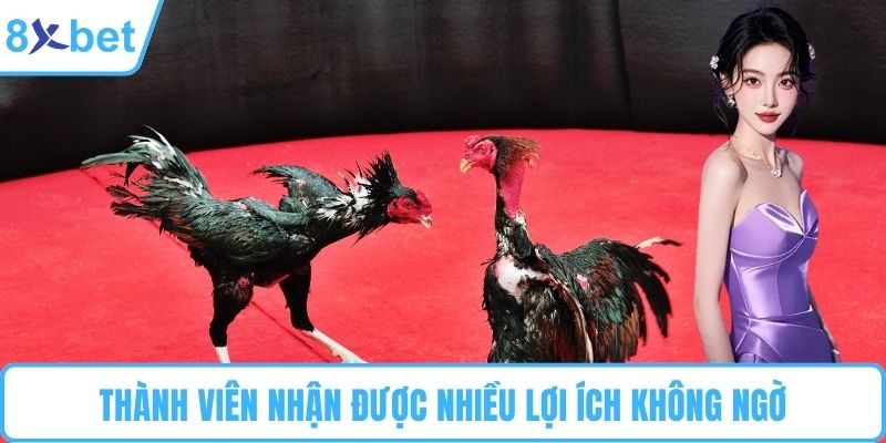Thành viên nhận được nhiều lợi ích không ngờ