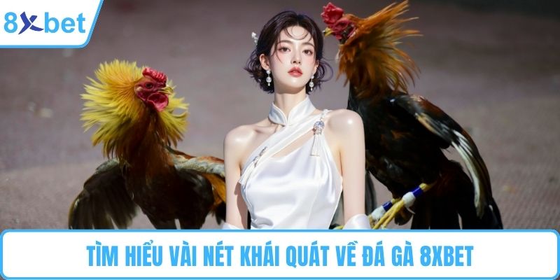 Tìm hiểu vài nét khái quát về đá gà 8XBET