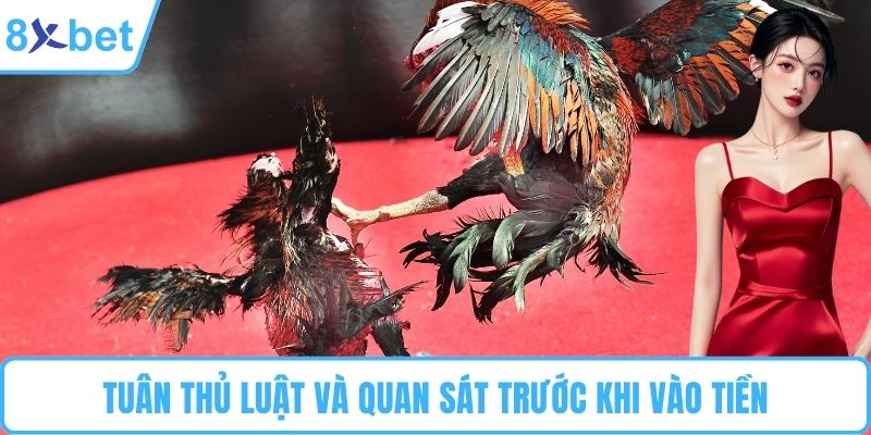 Tuân thủ luật và quan sát trước khi vào tiền